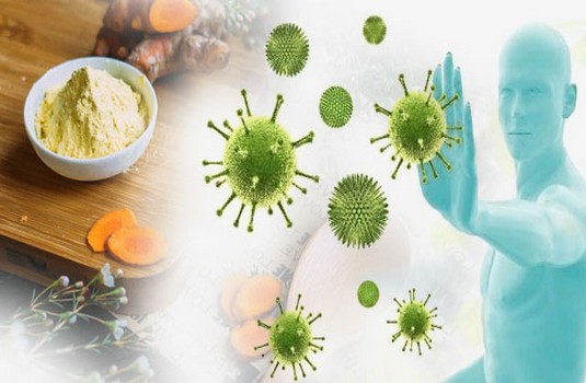 Rejuvenation & Immunity Booster